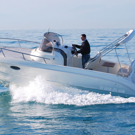 Idea marine 80 con Honda Marine BF250D